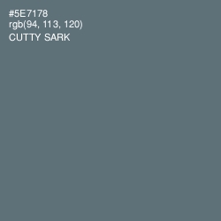 #5E7178 - Cutty Sark Color Image